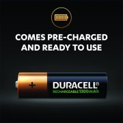 duracell 1300 (b)