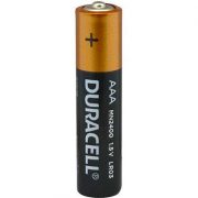 duracell aaa (b)